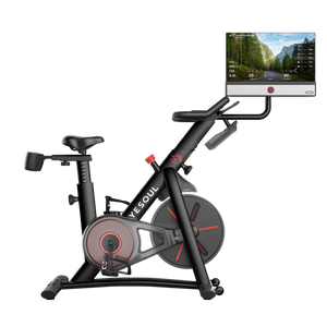 JASPORT × YESOUL Bicicleta G1M Max (bicicleta + pantalla)
