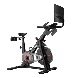 JASPORT × YESOUL Bicicleta G1M Max (bicicleta + pantalla)